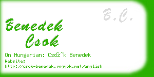 benedek csok business card